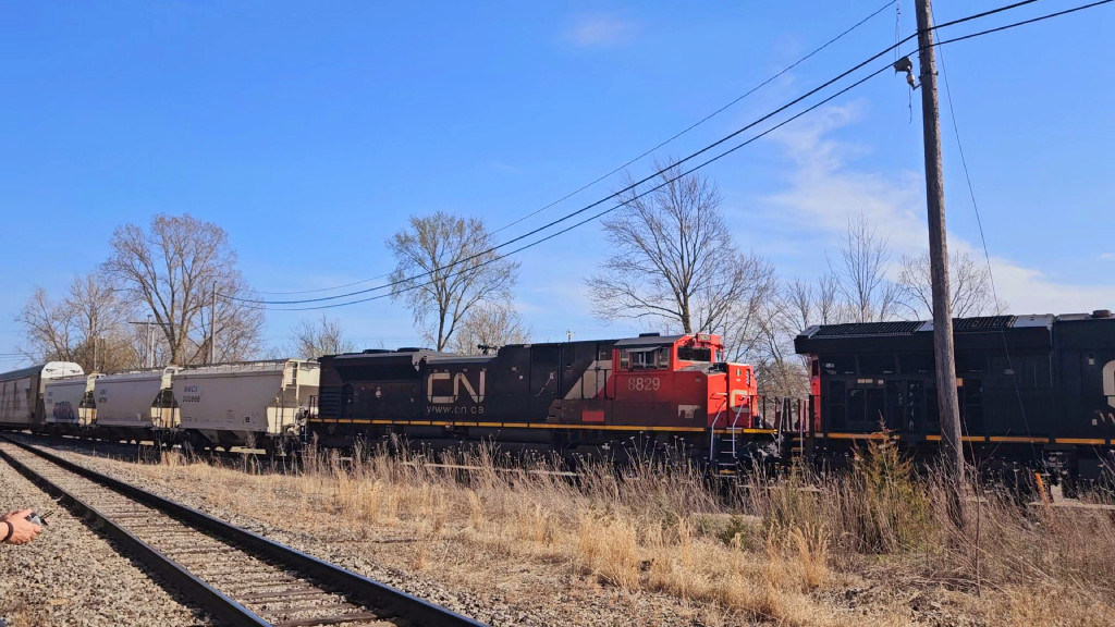 CN 8829